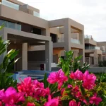 هاسيندا باي (5)