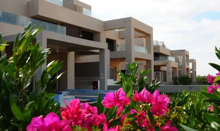 هاسيندا باي (5)